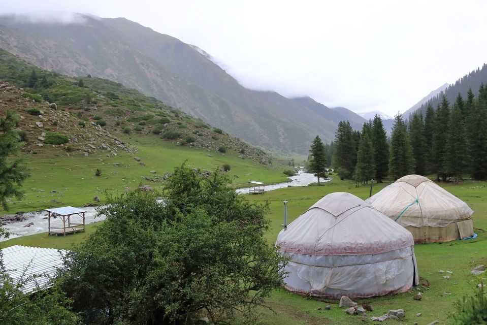 Deux yourtes traditionnelles se dressent sur une prairie verdoyante dans une vallée de montagne, avec une rivière et des pins en arrière-plan.