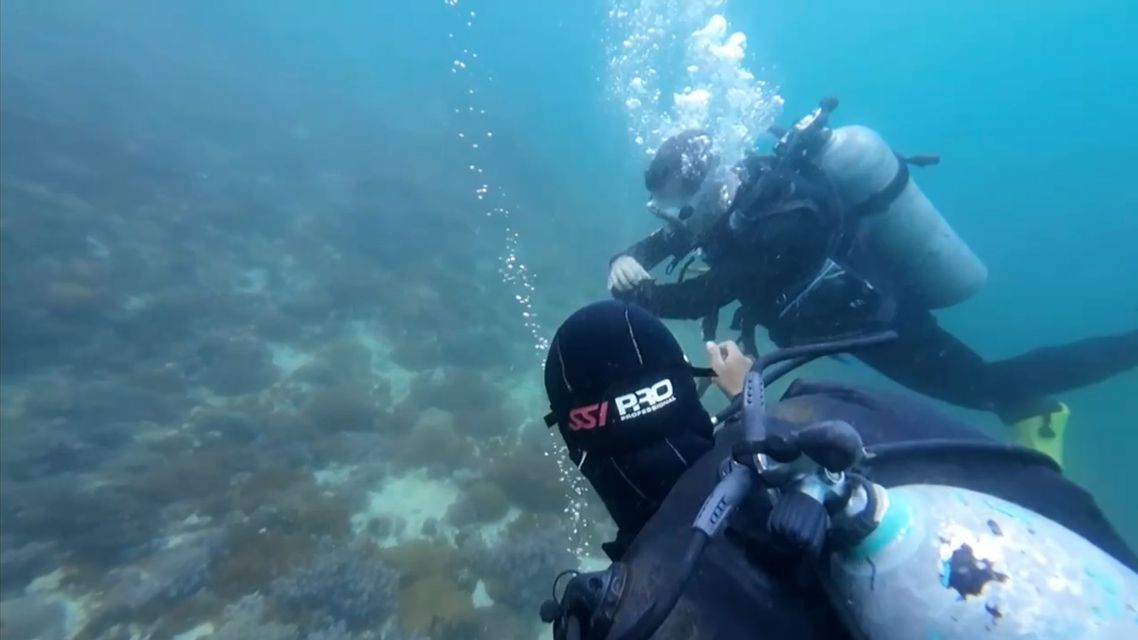 Due subacquei di un viaggio di gruppo WeRoad nuotano sott'acqua sopra un fondale corallino, con bolle d'aria che salgono intorno a loro.