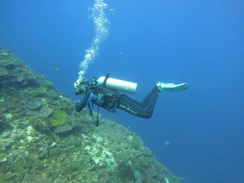 Un subacqueo con una muta nera nuota accanto a una grande barriera corallina in acque blu profonde.