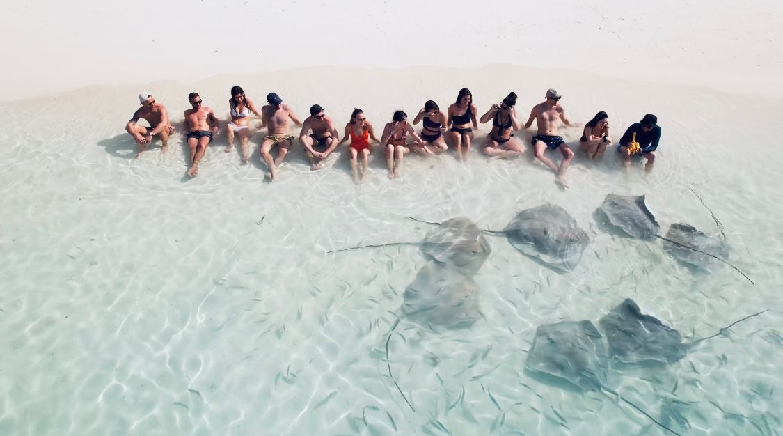 Vista cenital de un grupo de viaje de WeRoad sentado en una playa de arena blanca en aguas claras y poco profundas con mantarrayas nadando a su alrededor.