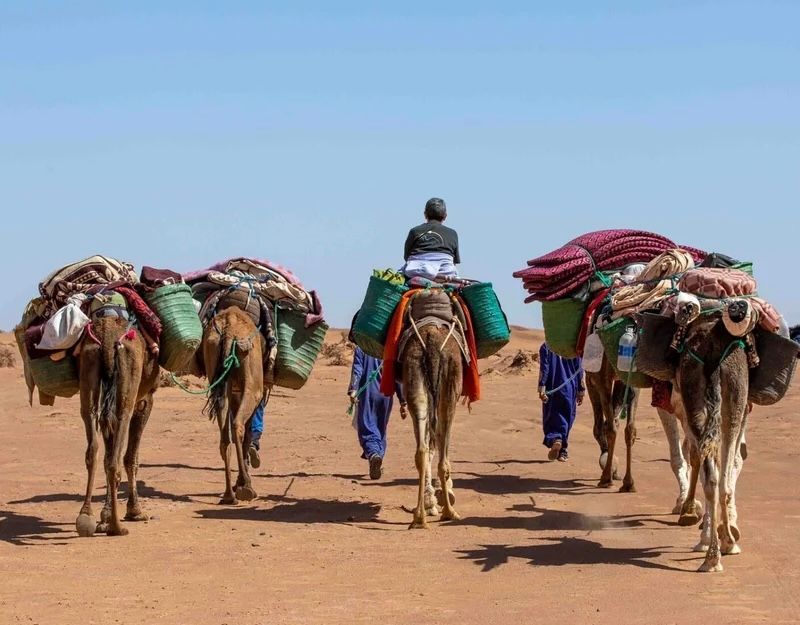Un viaggio di gruppo WeRoad in carovana di cammelli attraversa un deserto sabbioso, ripreso da dietro sotto un cielo azzurro e limpido.