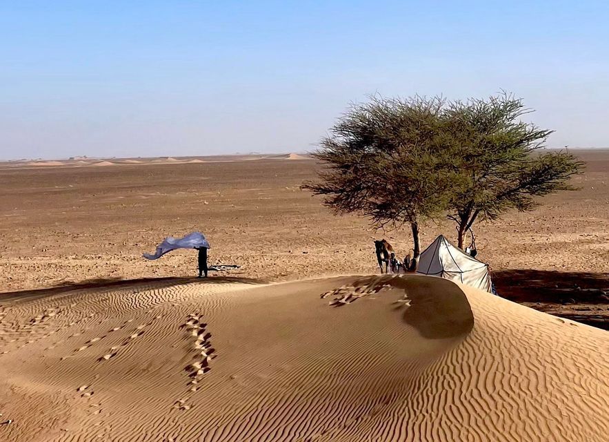 Una persona tiene un panno blu al vento su una duna di sabbia nel deserto, con una tenda, un cammello e un albero sullo sfondo.