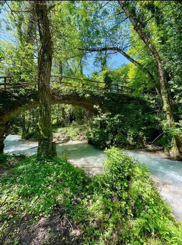 Un ponte ad arco in pietra coperto di edera verde e sormontato da un parapetto in legno attraversa un fiume limpido in una foresta illuminata dal sole.