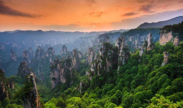 Un vasto paesaggio di alti e sottili pilastri di roccia ricoperti di verde fogliame sotto un cielo caldo e velato al tramonto.