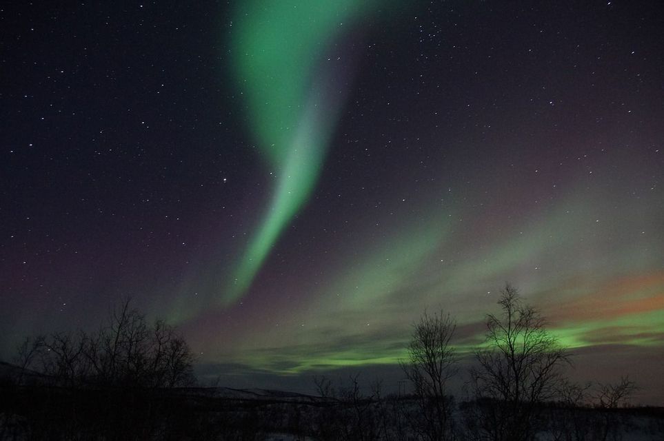 Green and purple aurora borealis glows in a dark, starry night sky above the silhouette of a treeline in a snowy landscape.