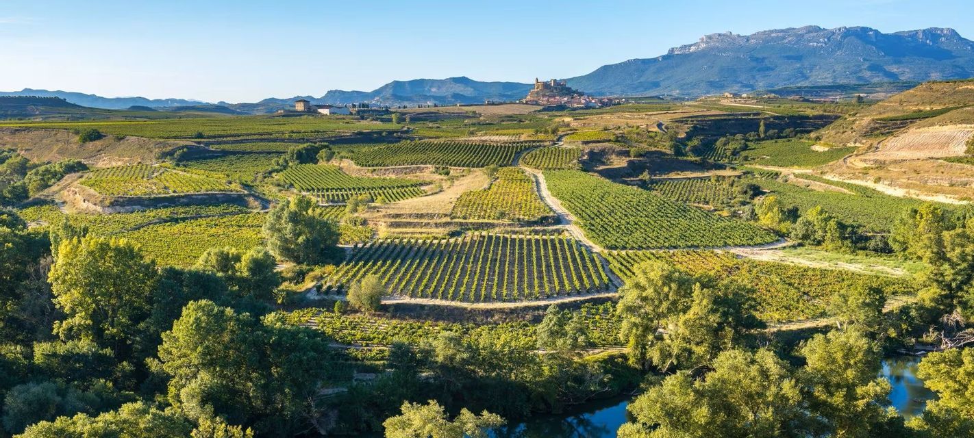 Vigneti soleggiati coprono dolci colline, con un fiume sottostante, un borgo in cima a una collina e montagne in lontananza.