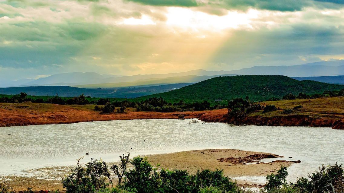 Un éléphant s'abreuve à un point d'eau au milieu d'un vaste paysage de collines verdoyantes et de montagnes lointaines, avec des rayons de soleil perçant les nuages.