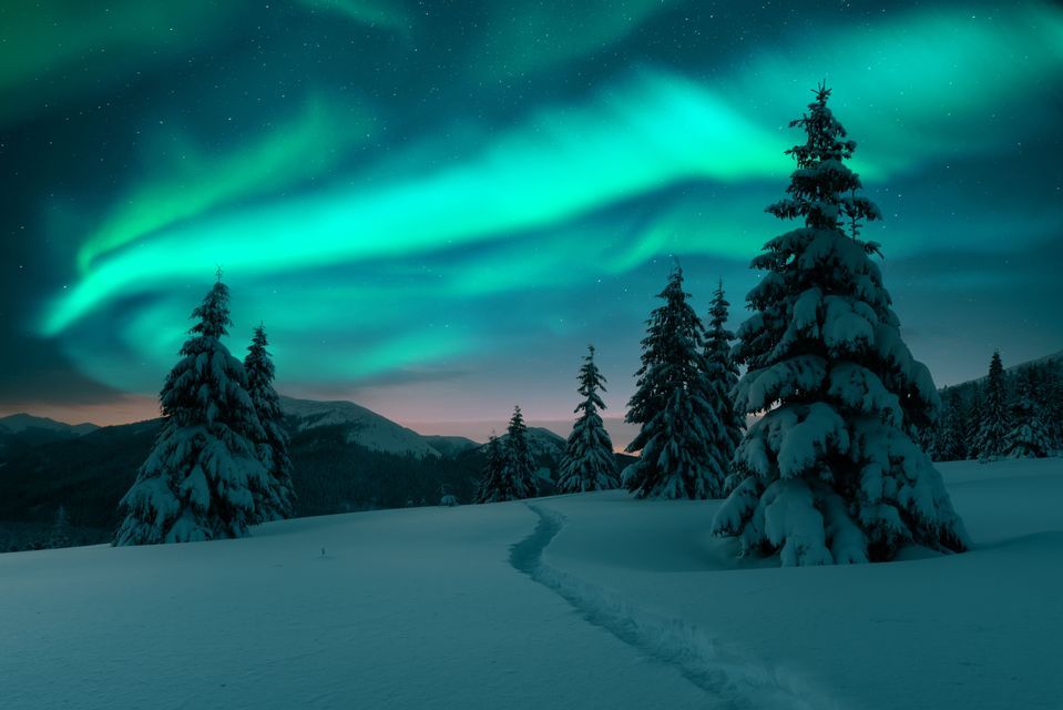 Das grüne Nordlicht wirbelt über einem sternenklaren Nachthimmel über einer verschneiten Landschaft mit Kiefern und einem Pfad.