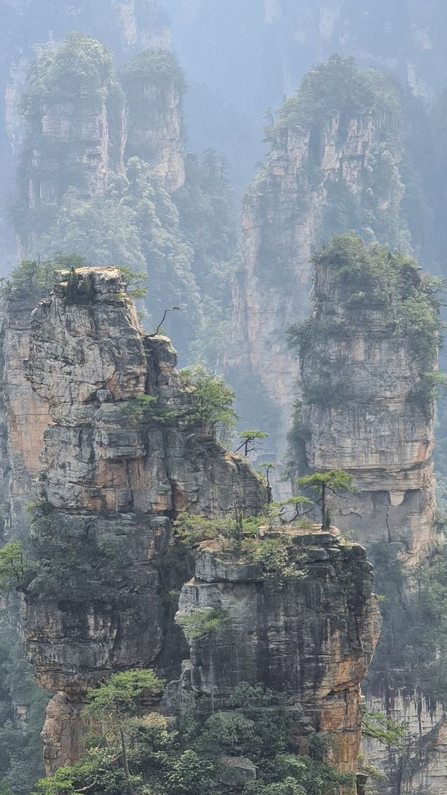 Formazioni rocciose alte, simili a pilastri, con alberi verdi in cima, che si ergono attraverso un paesaggio montano nebbioso.