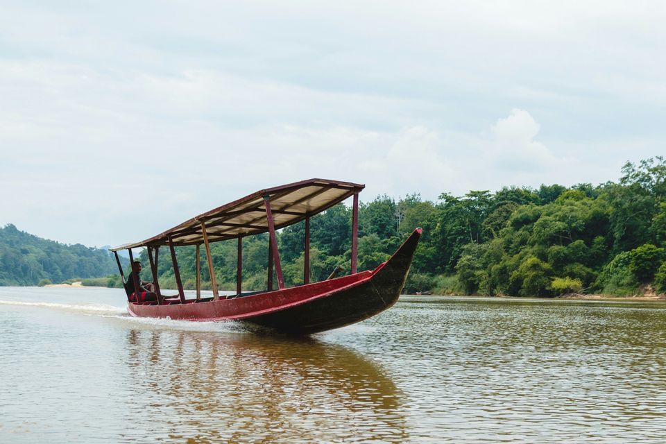 Una lunga barca rossa e nera, con tettuccio, naviga velocemente su un fiume, creando una scia, con una rigogliosa foresta sulla riva.
