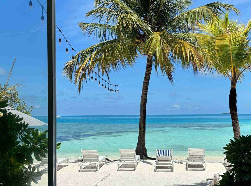 Una palma su una spiaggia tropicale con acqua turchese e un cielo azzurro con nuvole bianche.
