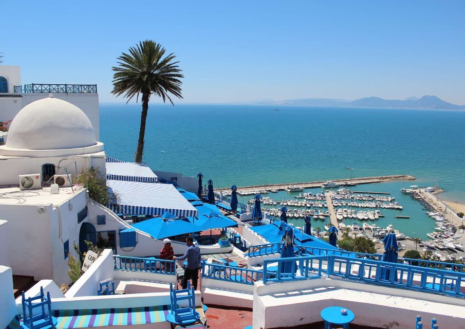 Vista aérea de un pueblo costero con edificios blancos y azules, un puerto deportivo y una palmera frente al mar azul.