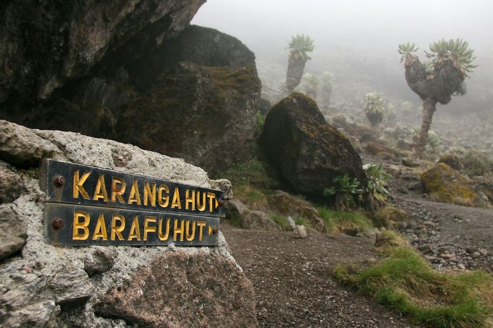 Un cartello segnaletico per il Rifugio Karanga e il Rifugio Barafu su un sentiero montano roccioso e nebbioso, tra piante di senecio gigante.