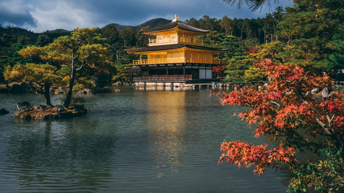 Un guía de grupo de WeRoad visto de espaldas, subiendo escaleras de piedra hacia una gran pagoda japonesa roja con árboles.