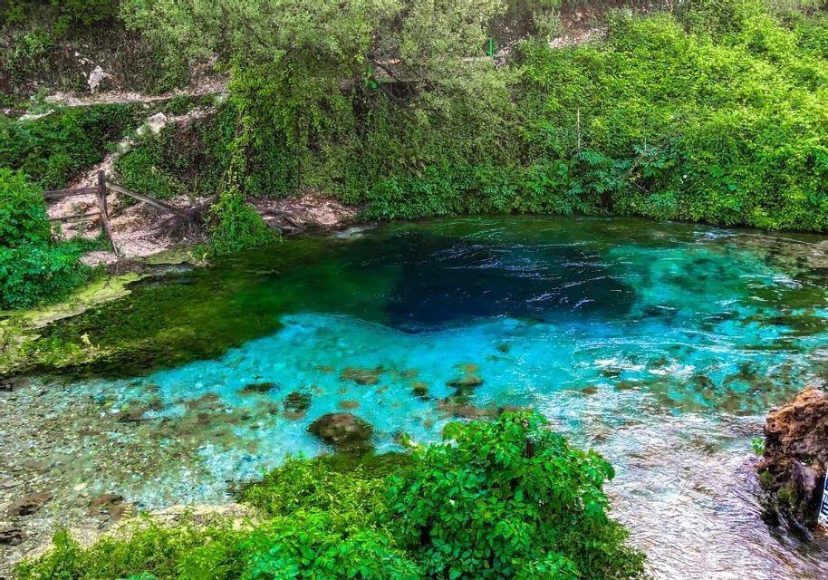 Una sorgente naturale di colore blu profondo con acqua turchese che sfocia in un fiume, circondata da fitti alberi e cespugli verdi.
