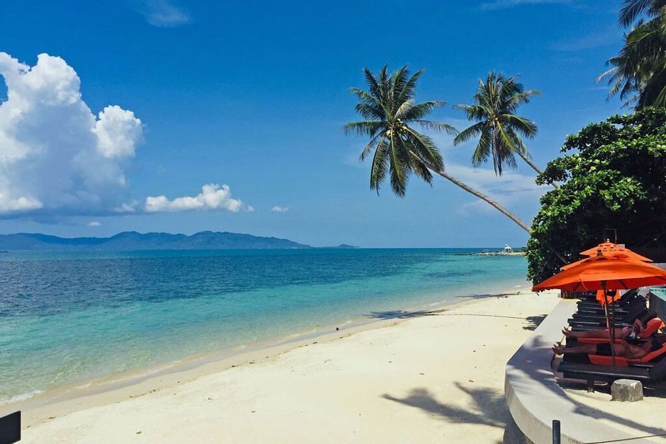 Deux palmiers se penchent sur une plage de sable blanc et une mer turquoise, avec des transats et un parasol orange au premier plan.