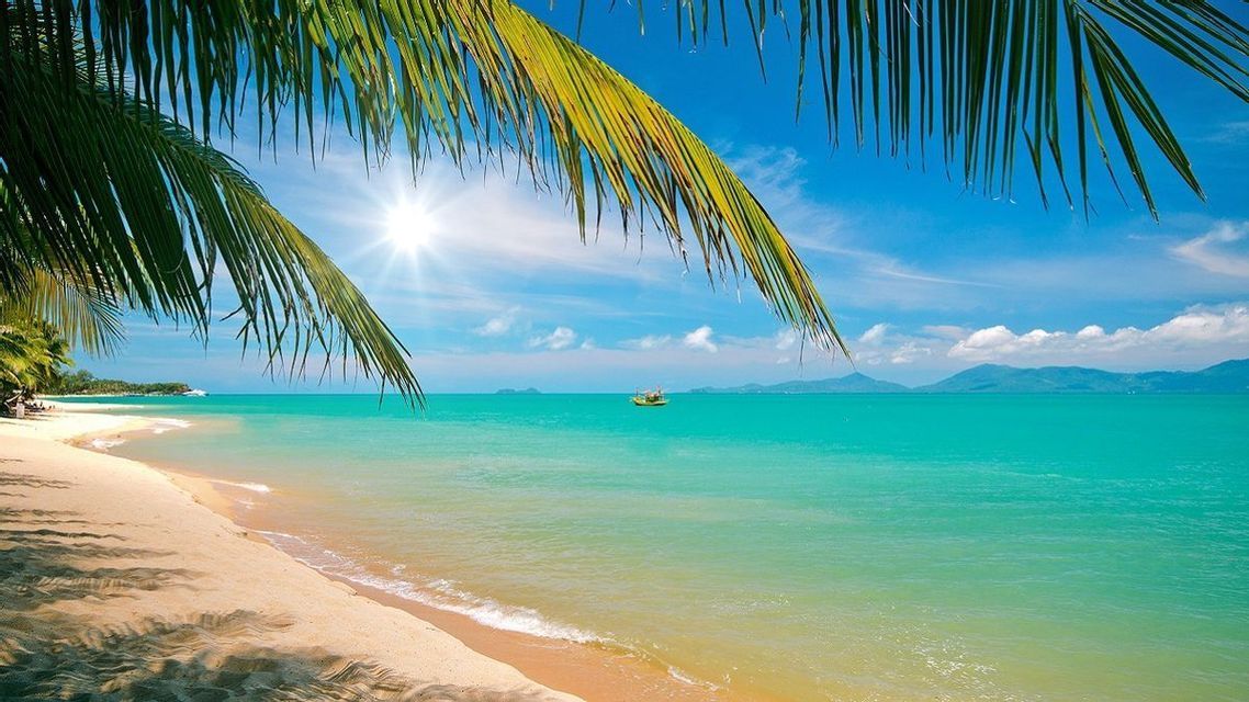 Une feuille de palmier surplombe une plage de sable, encadrant une vue sur une eau turquoise avec un petit bateau et des montagnes sous un ciel ensoleillé.