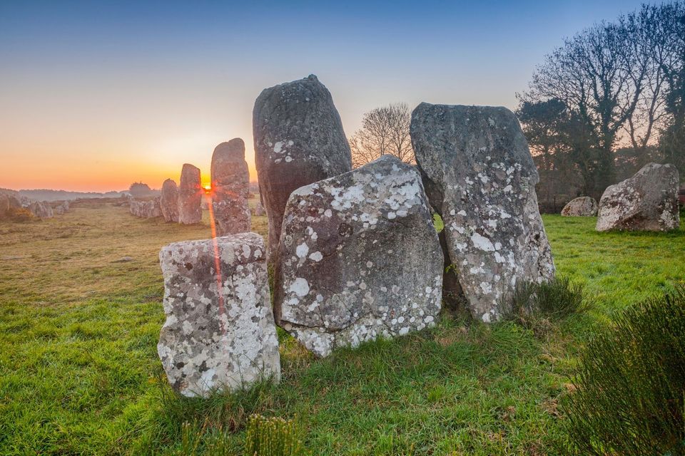 D'anciens mégalithes couverts de lichen se dressent en rangées dans un champ herbeux au lever du soleil, avec un éclat solaire à l'horizon.