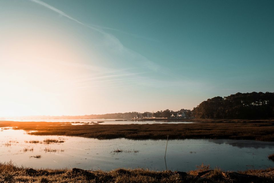 Un soleil doré illumine un marais côtier calme aux eaux tranquilles, avec une rive arborée au loin sous un ciel sarcelle.