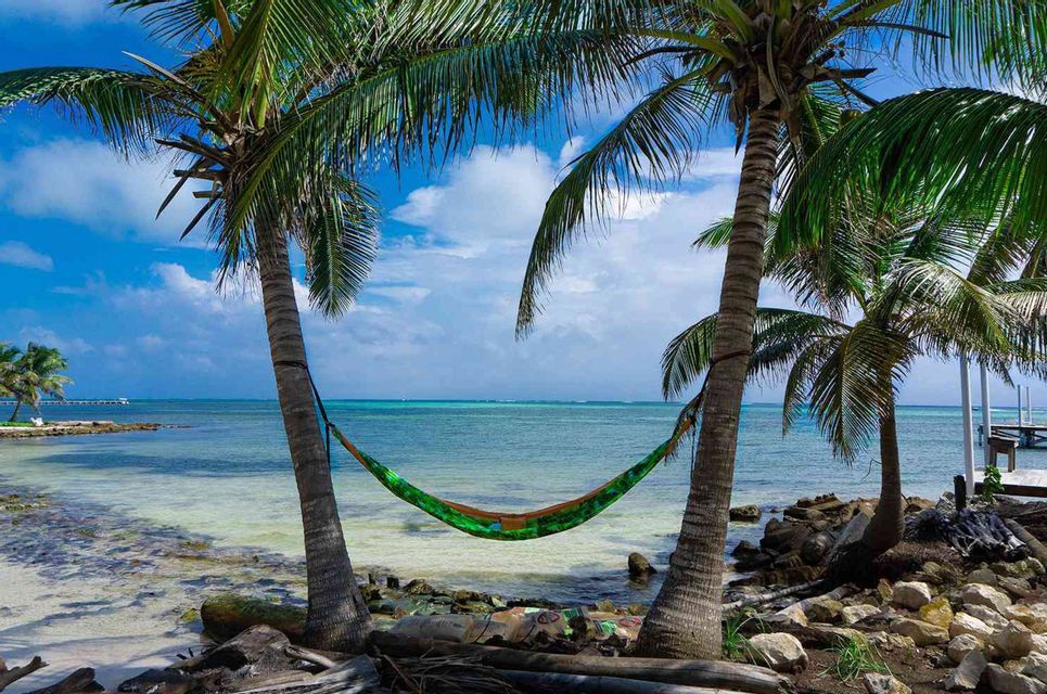 A green hammock hangs between two palm trees on a tropical beach overlooking the turquoise ocean.