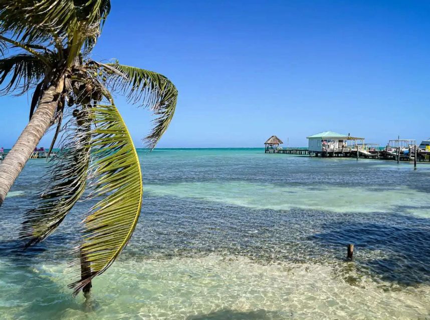 A palm frond hangs over clear turquoise water, with a wooden pier and overwater bungalows in the distance under a blue sky.