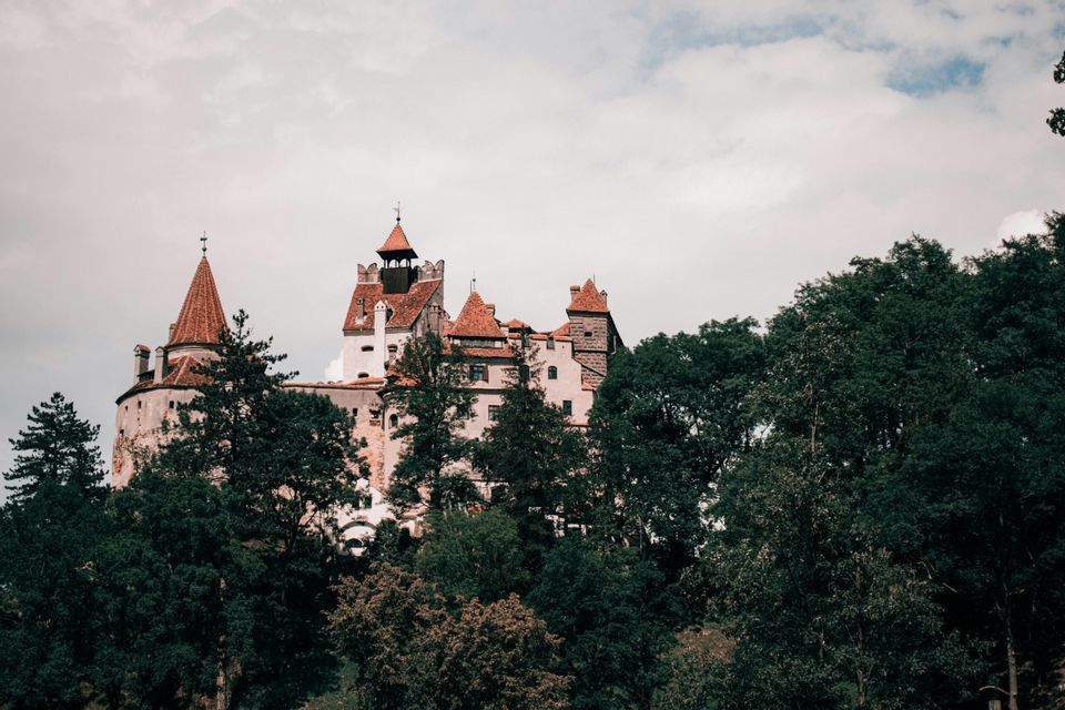 Un castello di pietra con tetti in tegole rosse e torri si erge sopra una fitta foresta verde sotto un cielo nuvoloso.