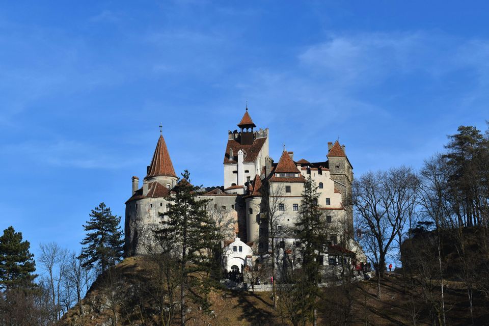 Un grande castello con mura bianche e tetti di tegole rosse si erge su una collina boscosa contro un cielo azzurro e limpido.