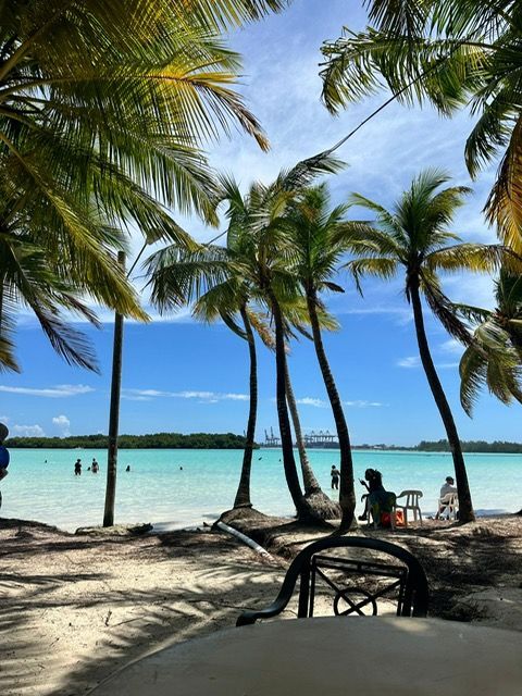 A view from a table overlooking a sandy beach with tall palm trees, with people swimming in the turquoise ocean under a blue sky.