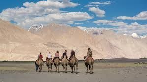 Un viaggio di gruppo WeRoad a cavallo di cammelli in fila attraverso una vasta valle desertica con grandi montagne sabbiose sullo sfondo.