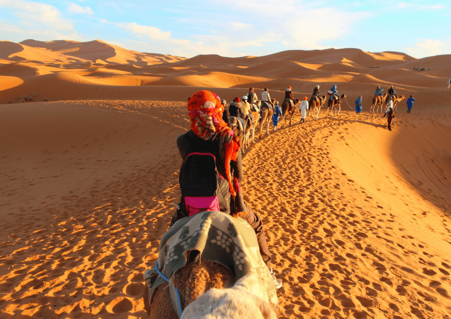 Un viaje en grupo de WeRoad en caravana de camellos sigue un camino sobre dunas de arena naranja iluminadas por el sol bajo un cielo azul.