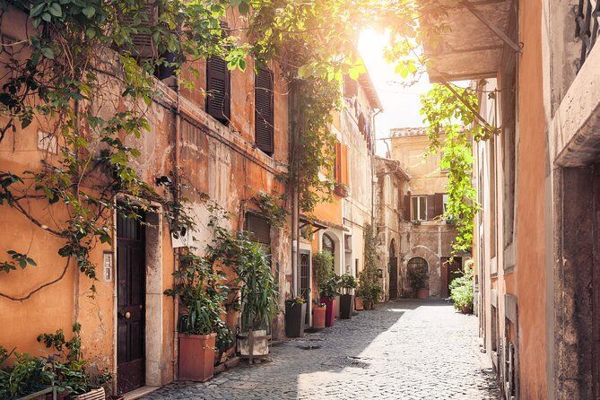 Un vicolo stretto e acciottolato, illuminato dal sole, è fiancheggiato da vecchi edifici, viti verdi e numerose piante in vaso.