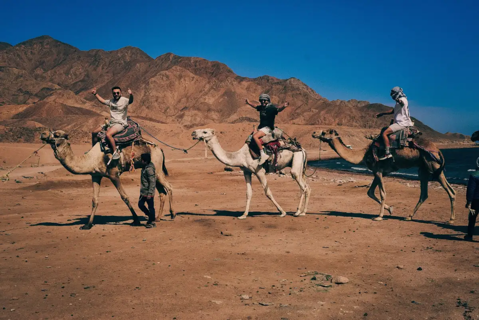 A WeRoad group trip riding camels along a sandy trail with rocky mountains in the background under a clear blue sky.