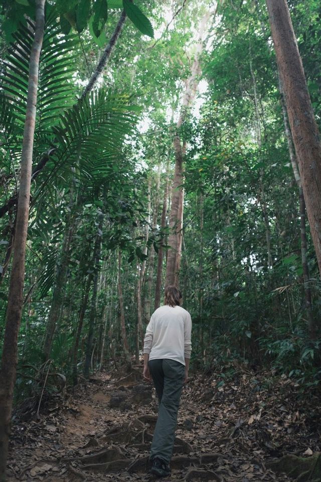Una persona vista de espaldas camina por un sendero de tierra cubierto de raíces y hojas, rodeada de árboles altos en una selva densa.