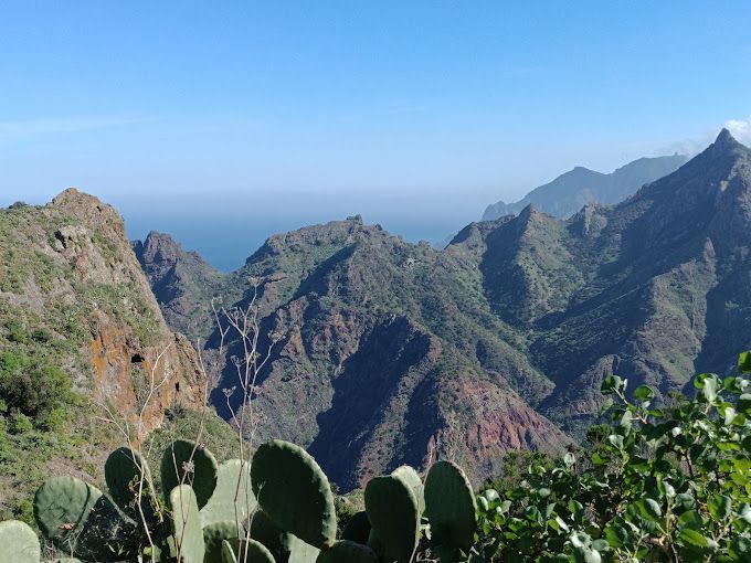Una vista panoramica di verdi montagne rocciose che si estendono verso l'oceano, con fichi d'India in primo piano.
