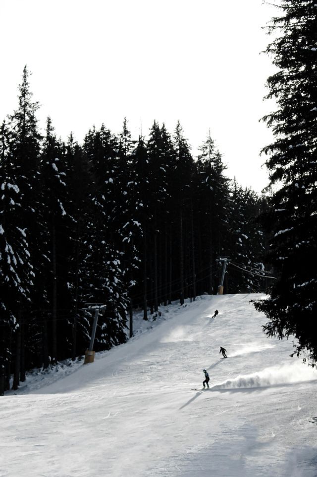 Tre sciatori in silhouette scendono un ampio pendio innevato accanto a una fitta, scura pineta sotto un cielo luminoso.