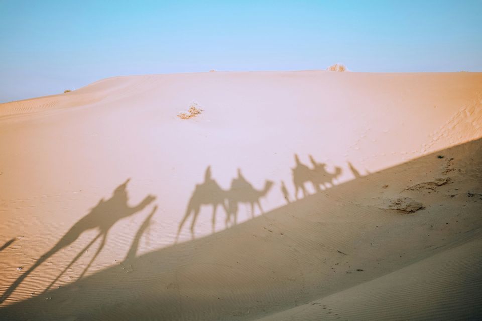 Le ombre di un viaggio di gruppo WeRoad su una carovana di cammelli si proiettano su una grande duna di sabbia sotto un cielo sereno.