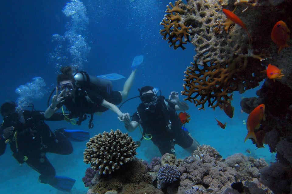 Un viaggio di gruppo WeRoad per immersioni subacquee, in posa per una foto vicino a una barriera corallina con pesci arancioni.