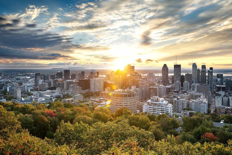 A modern city skyline with skyscrapers viewed from over a dense forest during a golden sunset under a partly cloudy sky.