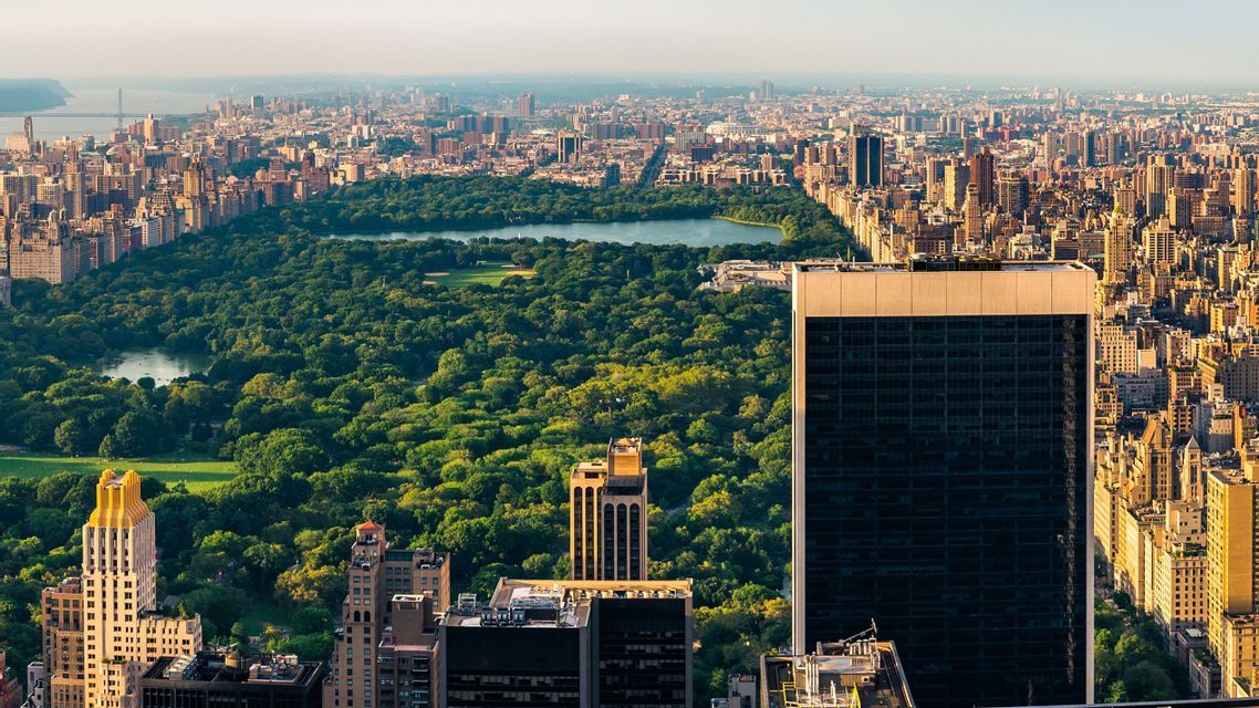 Una vista aerea di un grande parco verde rettangolare con un lago, situato in un denso paesaggio urbano di grattacieli.