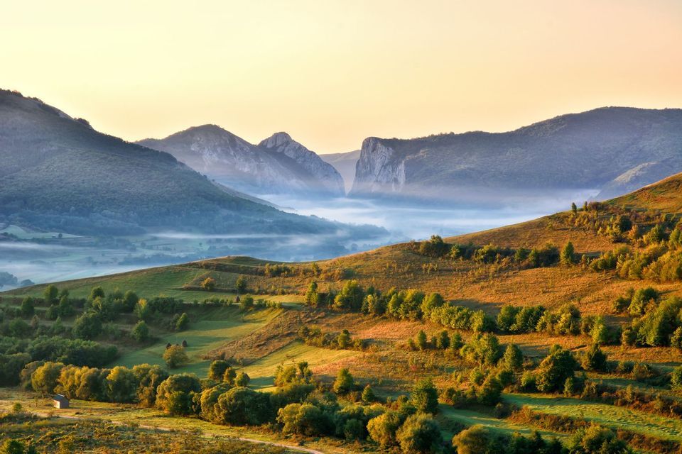 Una valle nebbiosa si trova tra dolci colline coperte di alberi e una catena montuosa distante all'alba.