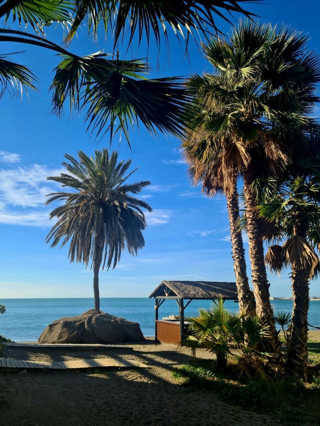 Tall palm trees and a wooden hut with a thatched roof stand on a sandy beach by the ocean under a clear blue sky.