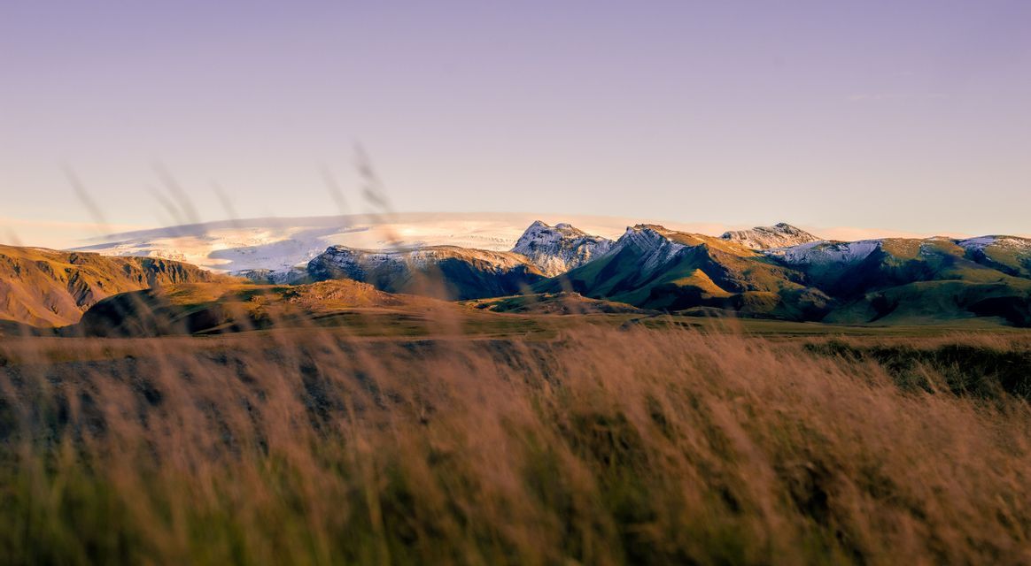 Una luz dorada ilumina una cordillera nevada y un glaciar, observados desde un campo de hierba mecida por el viento bajo un cielo despejado.