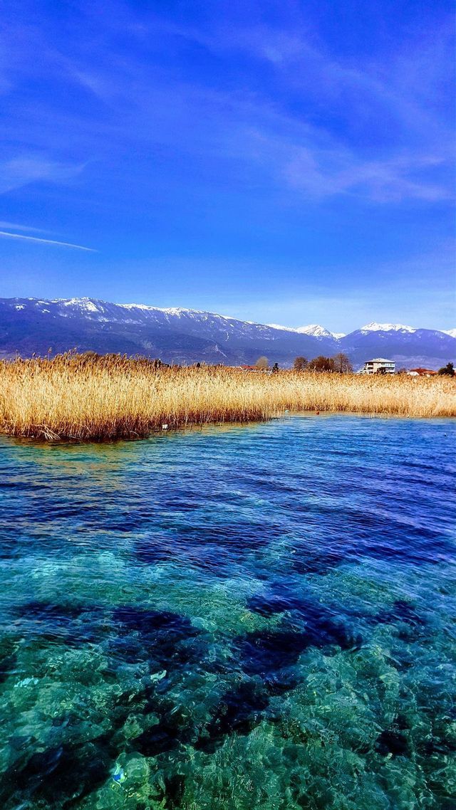 Acqua cristallina turchese in un lago con canne dorate lungo la riva e montagne innevate sotto un cielo azzurro brillante.