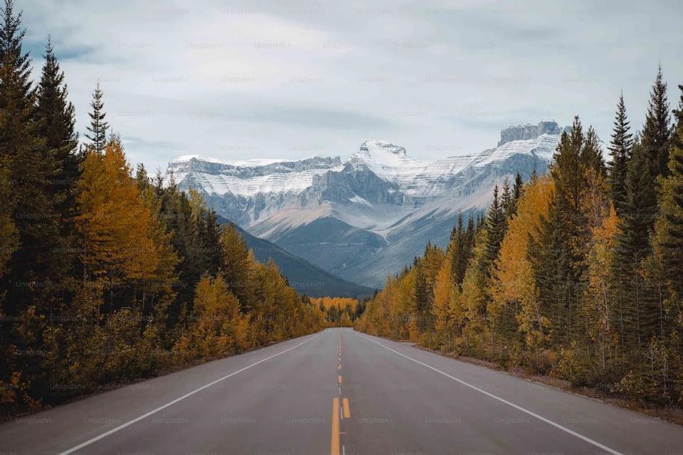 Une route pavée serpente à travers une forêt d'automne aux arbres jaunes, menant vers des montagnes enneigées.