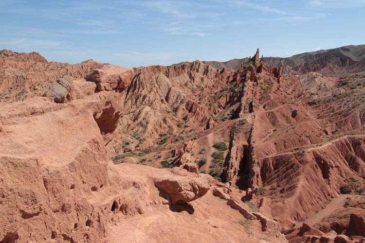 Une vue imprenable sur un canyon avec des formations rocheuses rouges érodées et une végétation clairsemée sous un ciel bleu pâle.