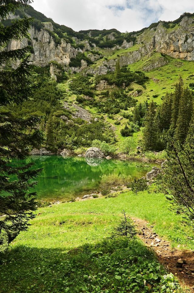 Ein smaragdgrüner Bergsee, eingebettet zwischen Kiefern am Fuße eines üppigen, felsigen Berghangs.