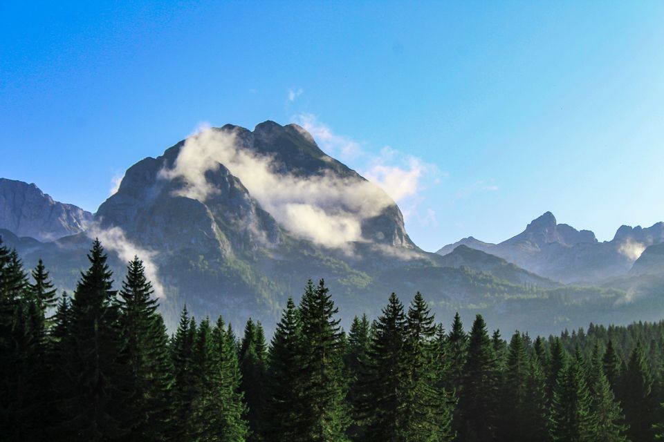 Ein felsiger Berggipfel, teilweise von Wolken bedeckt, ragt unter einem klaren blauen Himmel über einem dichten Kiefernwald empor.