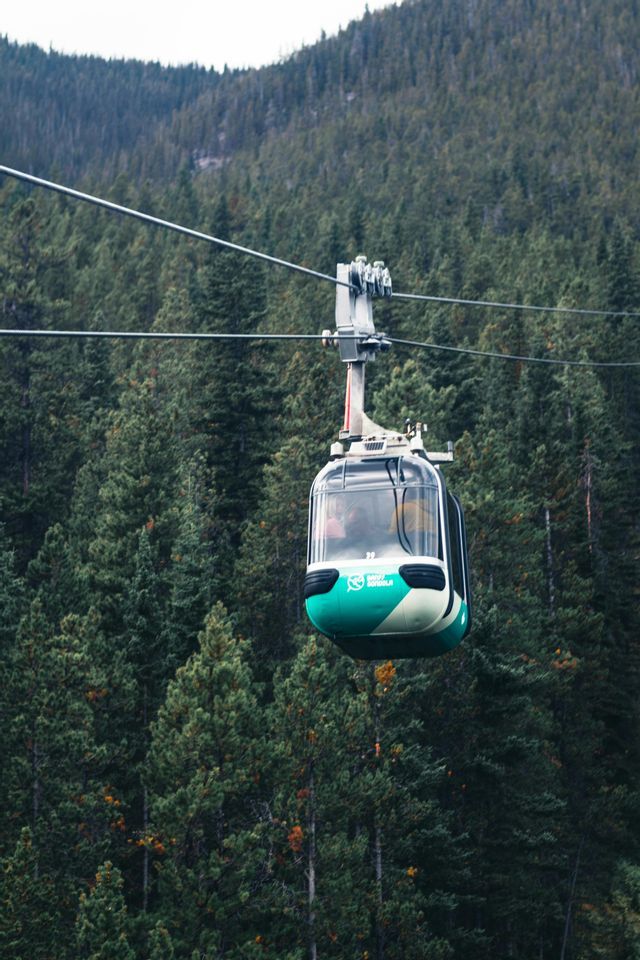 Une télécabine bleu sarcelle et blanche survole une dense forêt de pins recouvrant un flanc de montagne.