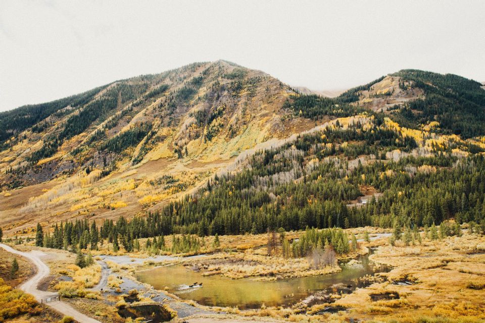 Une pente de montagne couverte de pins verts et de feuillage d'automne jaune, avec une rivière et un chemin de terre serpentant dans la vallée en contrebas.