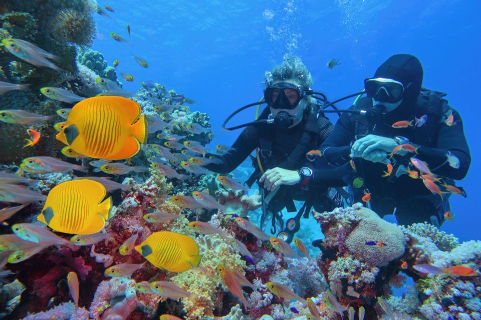 Due subacquei in un viaggio di gruppo WeRoad esplorano una vivace barriera corallina circondata da banchi di pesci.
